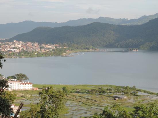 Tranquil Water Guest House Pokhara Zewnętrze zdjęcie